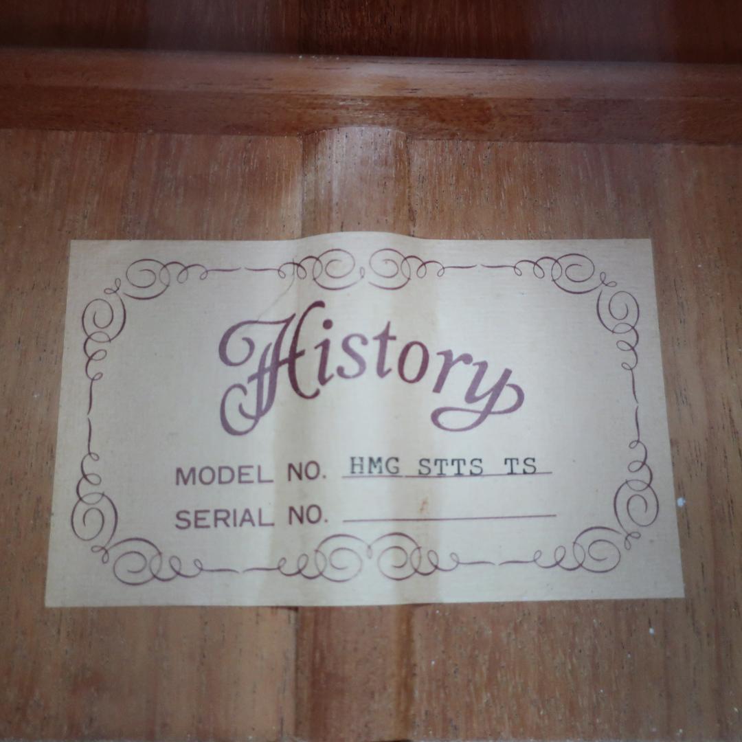美品 History HMG STTS TS アコースティックギター ケース付