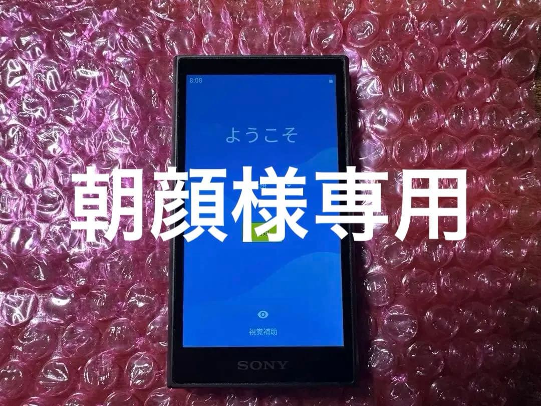 ポータブルプレーヤー SONY WALKMAN NW-A106 32GB