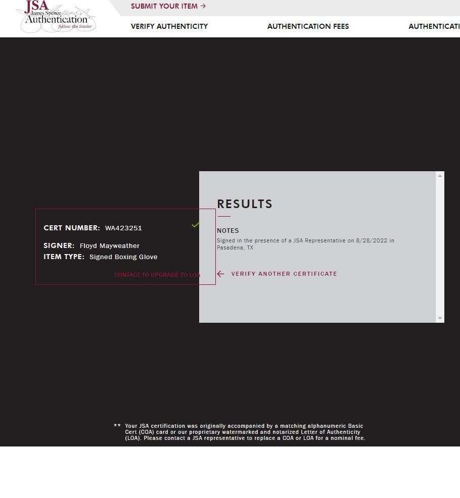 【レア】フロイド・メイウェザー・ジュニア★直筆サイン入りグローブ