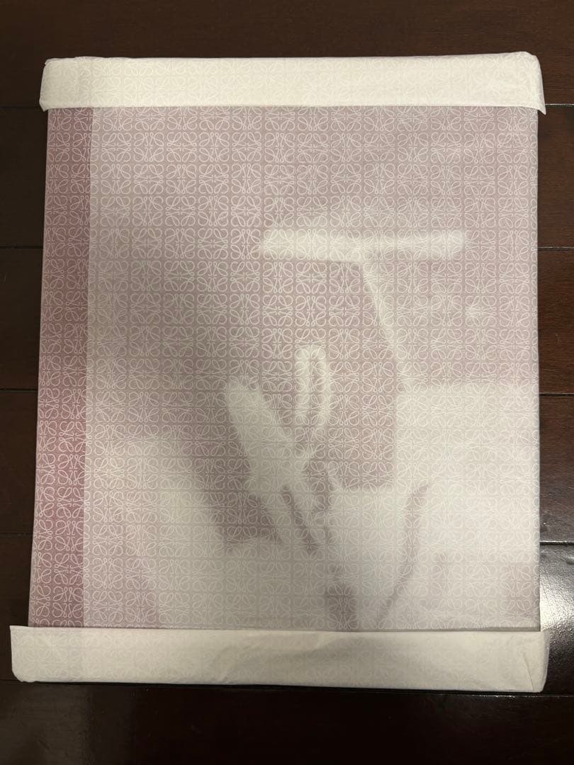 【非売品】LOEWE CRAFTED WARLD展 写真集