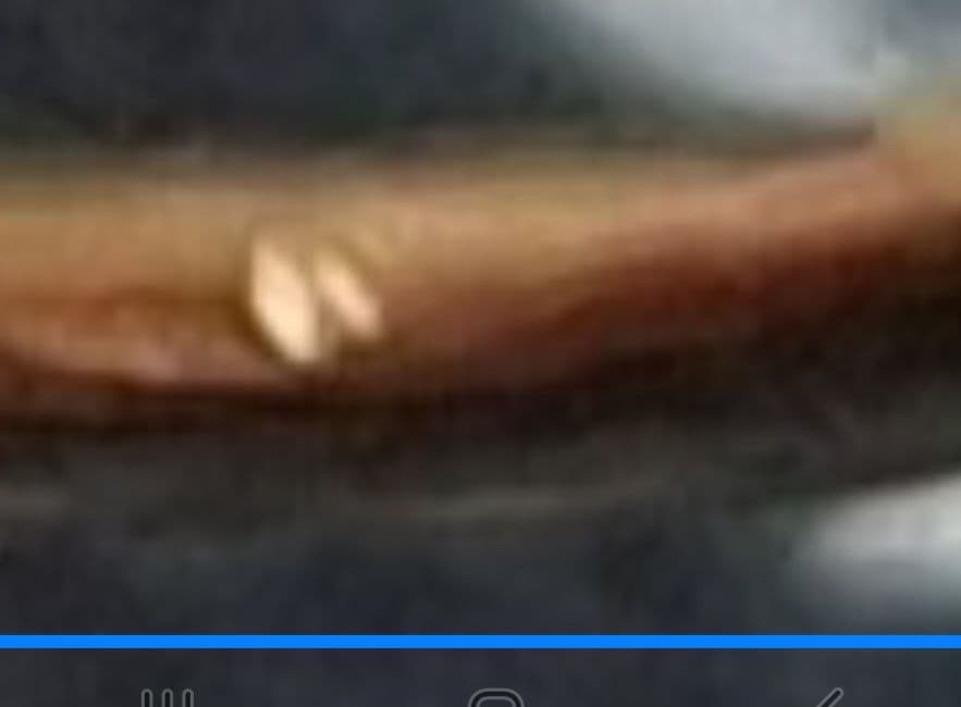 ハート型リング指輪