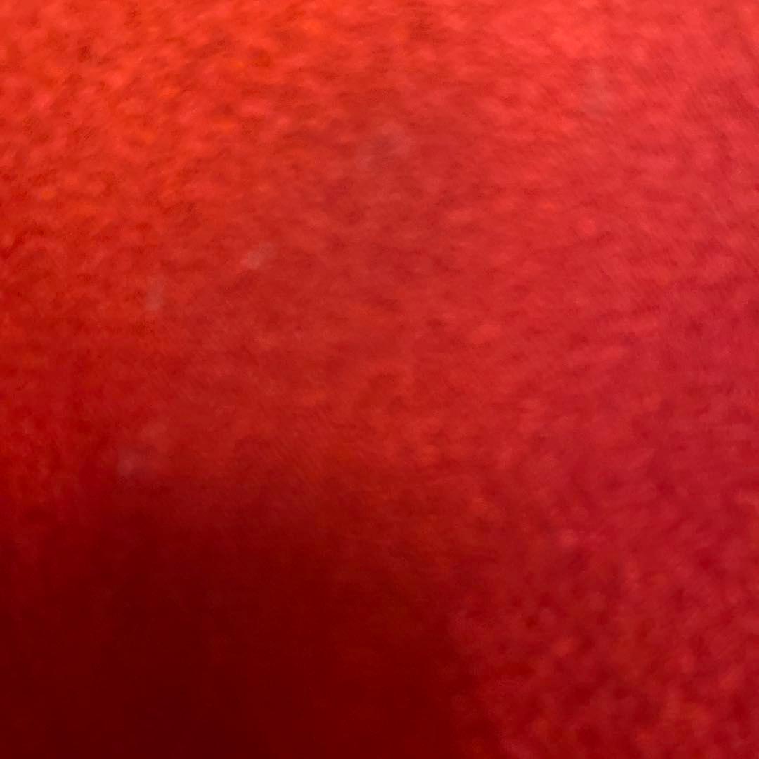 赤い振袖 染め花柄　長身用