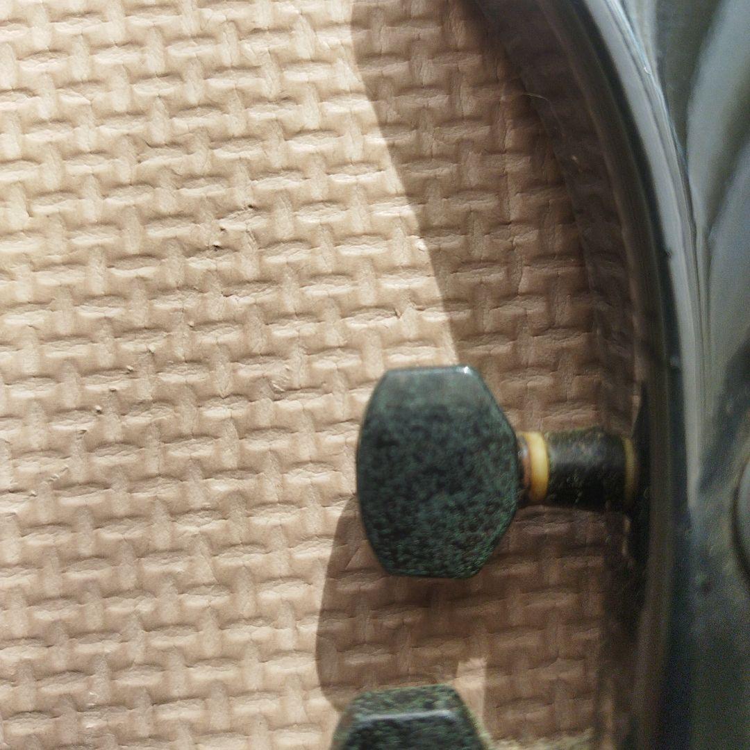 LUNA SEA　スギゾーモデル