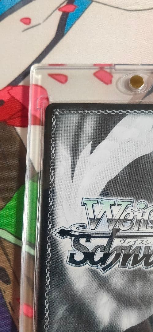 ヴァイスシュヴァルツ　きんいろモザイク　大宮忍　SEC