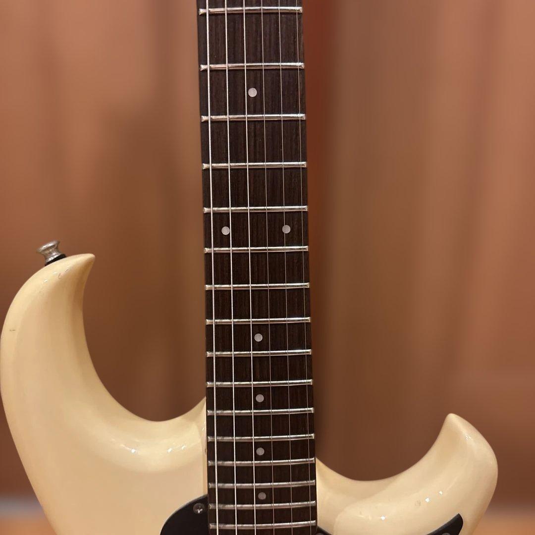 【Kenさん専用】Aria Pro II RS Wildcat アーム付 新品弦