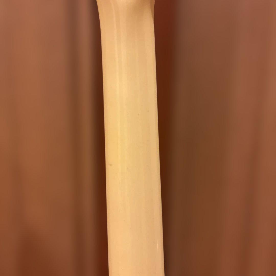 【Kenさん専用】Aria Pro II RS Wildcat アーム付 新品弦