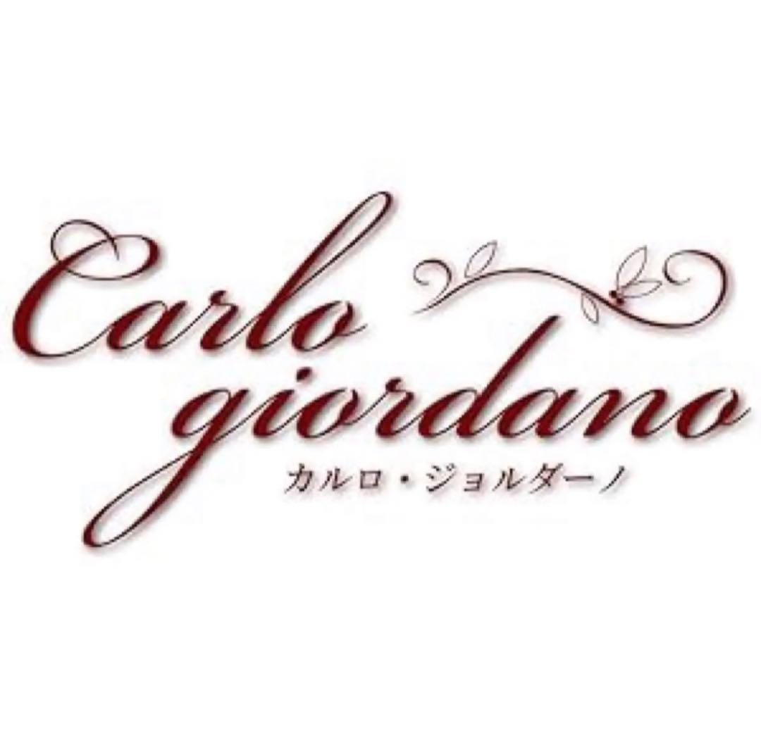 【新品】バイオリン CARLO GIORDANO/VS-1 (4/4サイズ)
