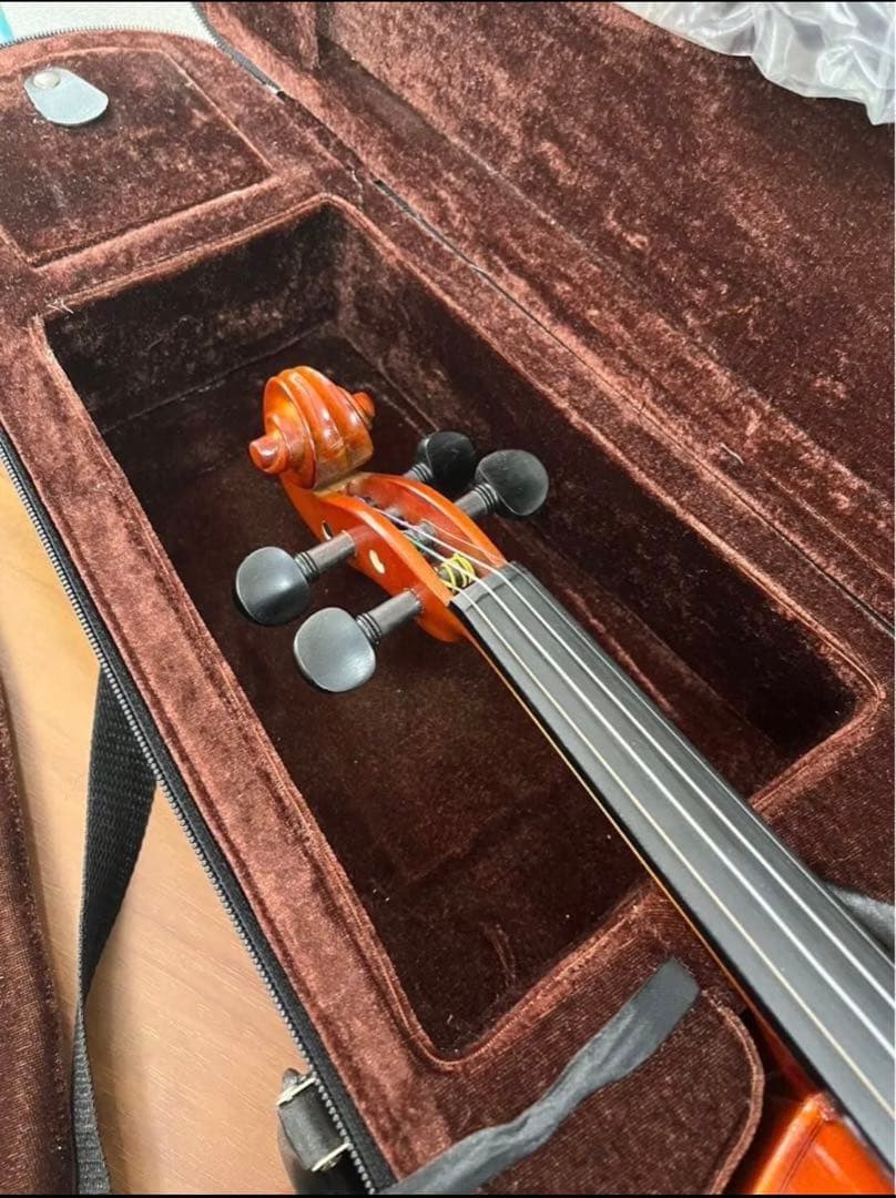 【新品】バイオリン CARLO GIORDANO/VS-1 (4/4サイズ)