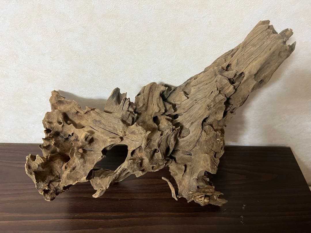 XM-198 流木　マシンガンウッド　アクアリウム　ブランチウッド　沈水確認済