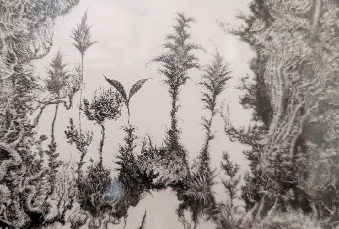 【SORAさまご予約品】知る人ぞ知る東欧の巨匠ブルノフスキーの超絶技巧リトグラフ