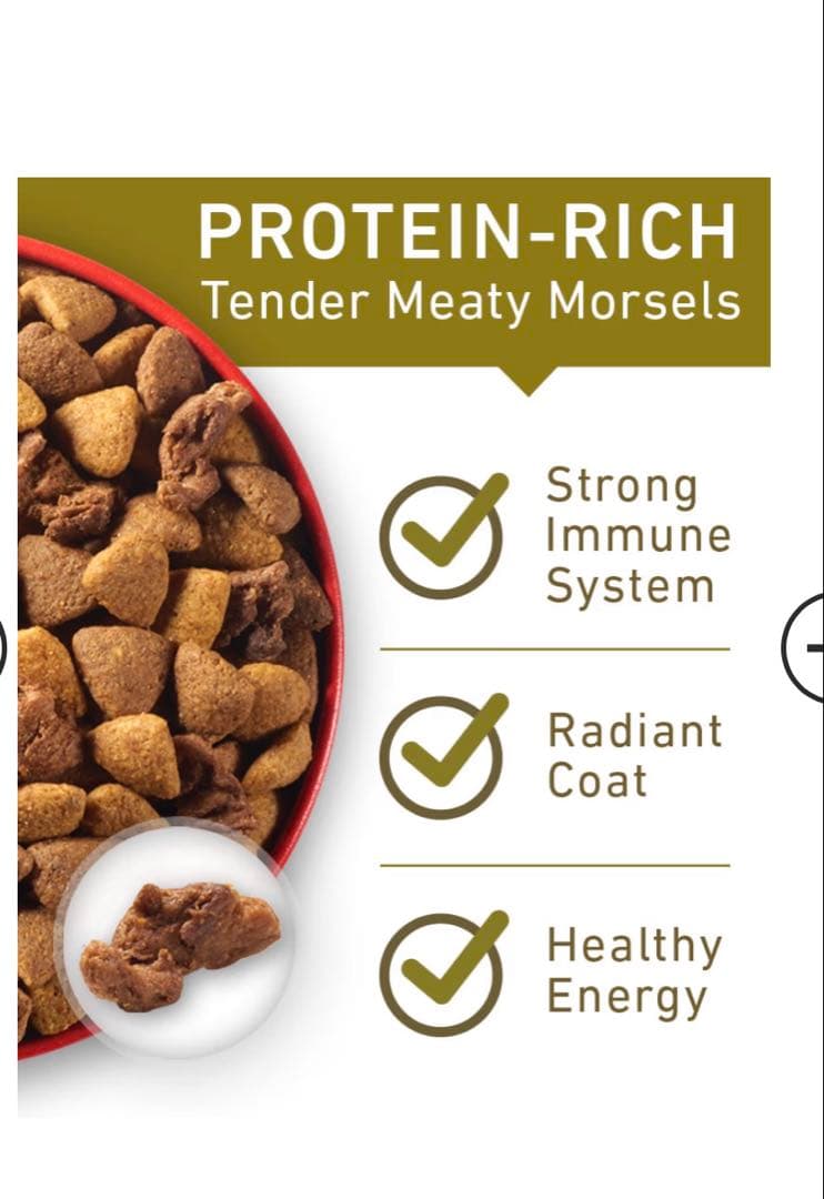 purina one グレインフリー