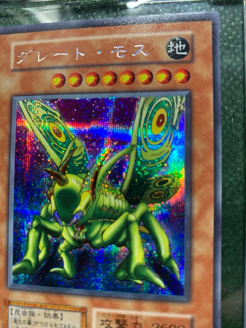 【遊戯王】初期版　グレートモス　シークレットレア