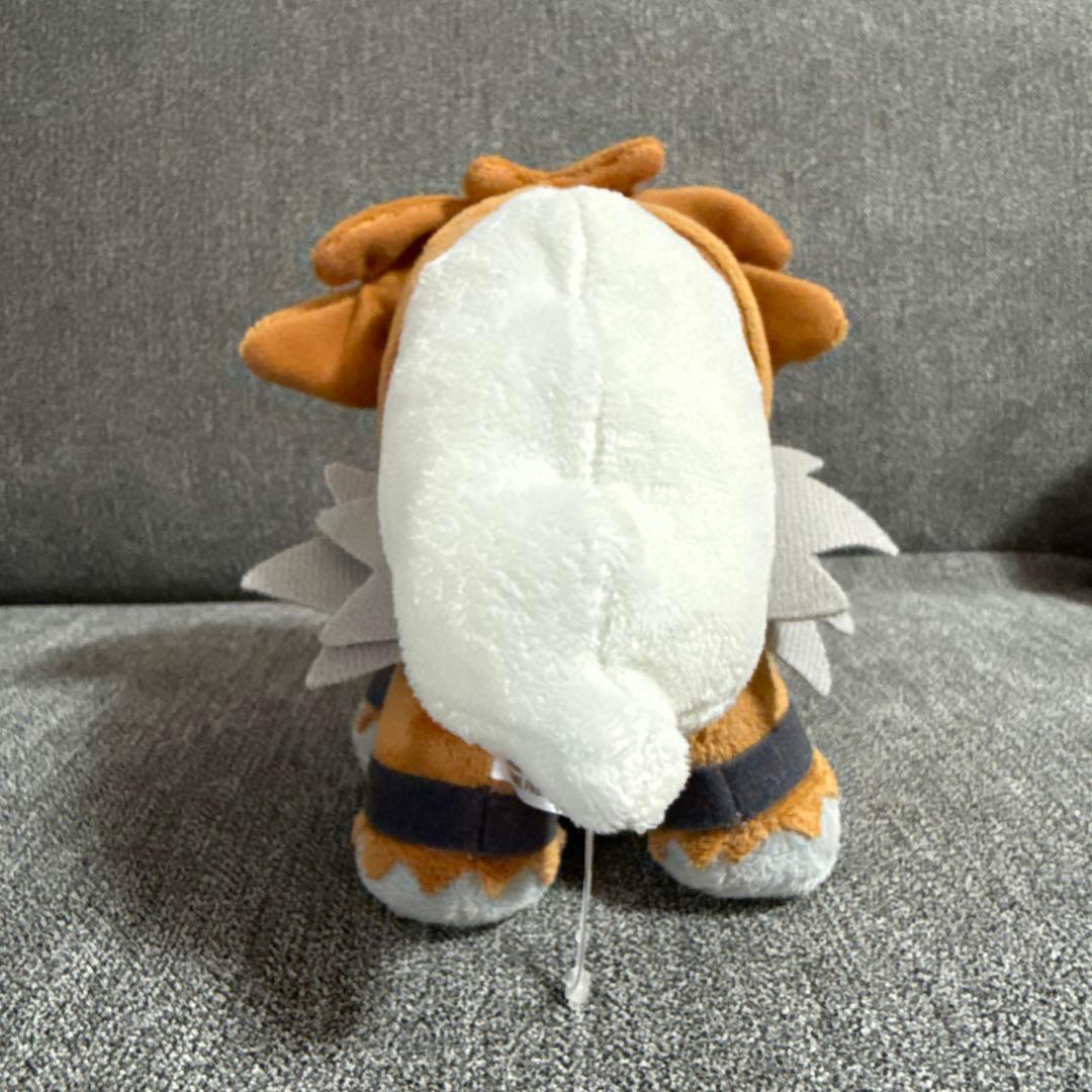 ポケドール　エンテイ　色違い　2010年限定品