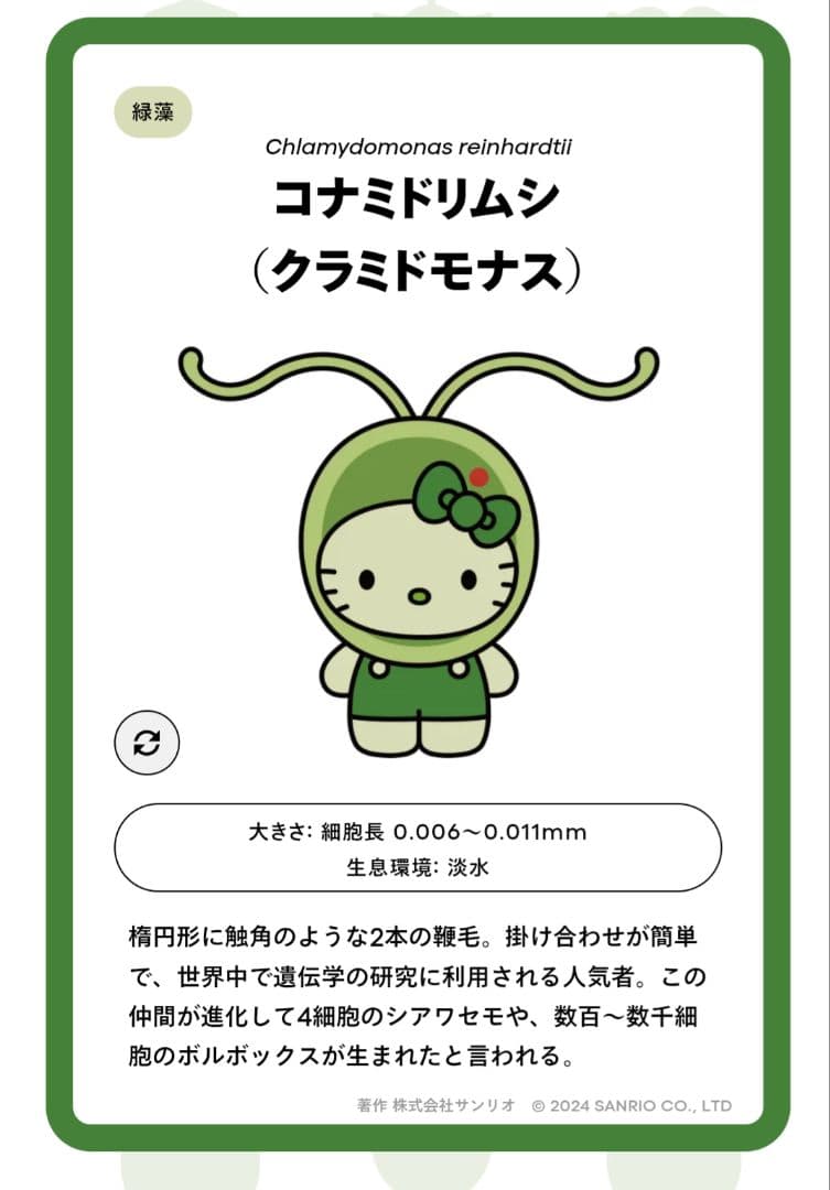 【まとめ売り】万博ハローキティ 藻ピンバッジ 4点セット