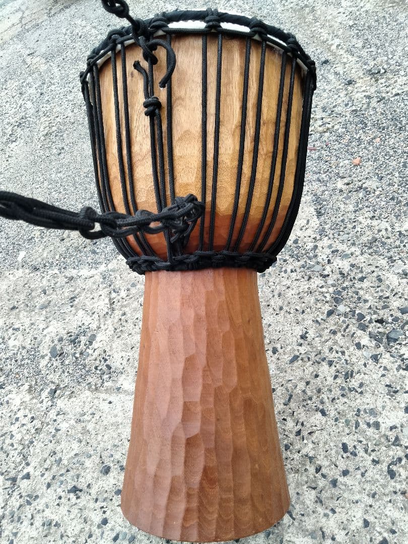 マイネルジャンべ＋マイネルカホン