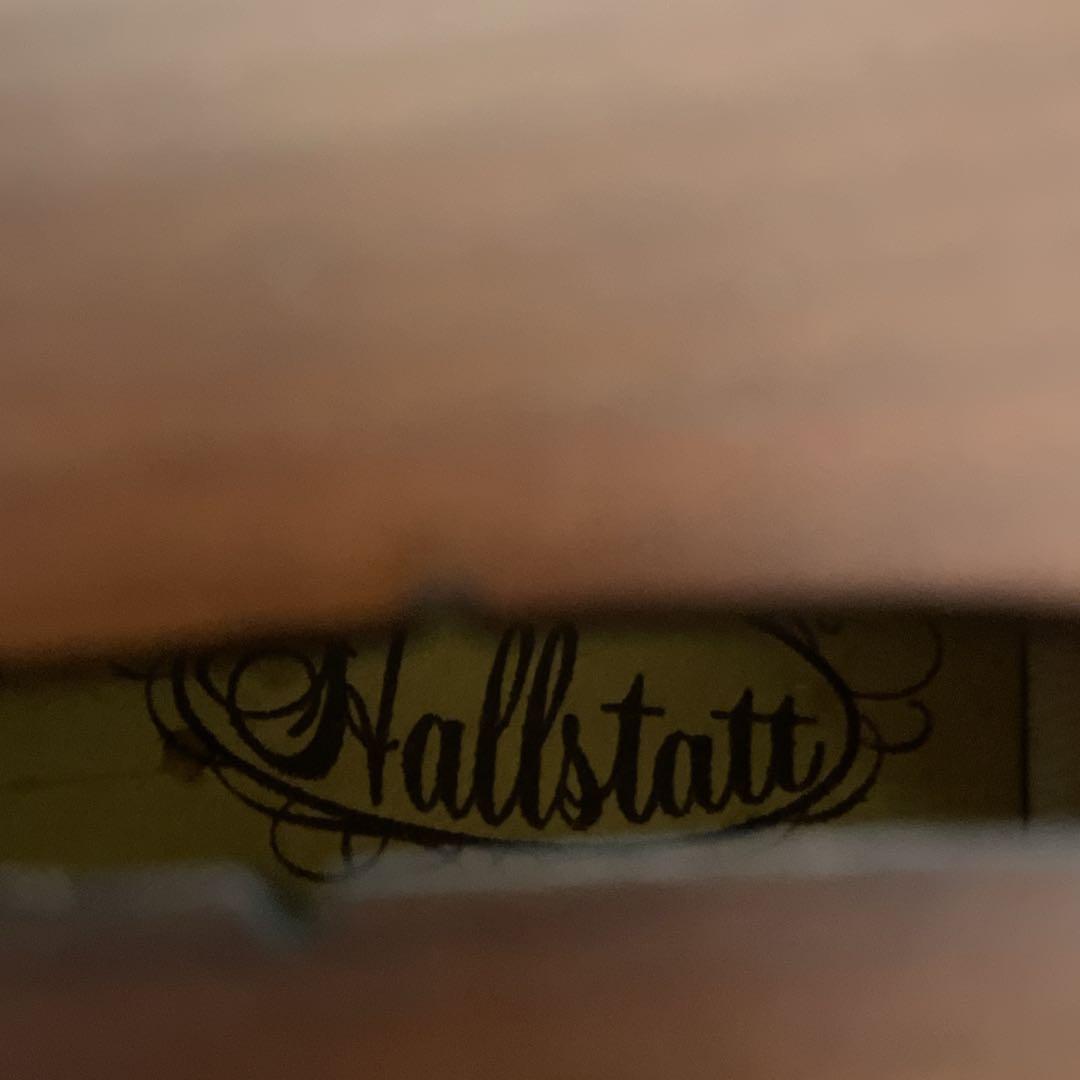 【ケース弓付き】ハルシュタット バイオリン V-12 4/4 大人用 初心者