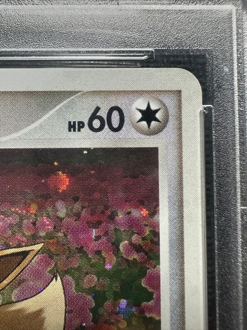 イーブイ Eevee PSA10 とりかえっこ　限定プロモ