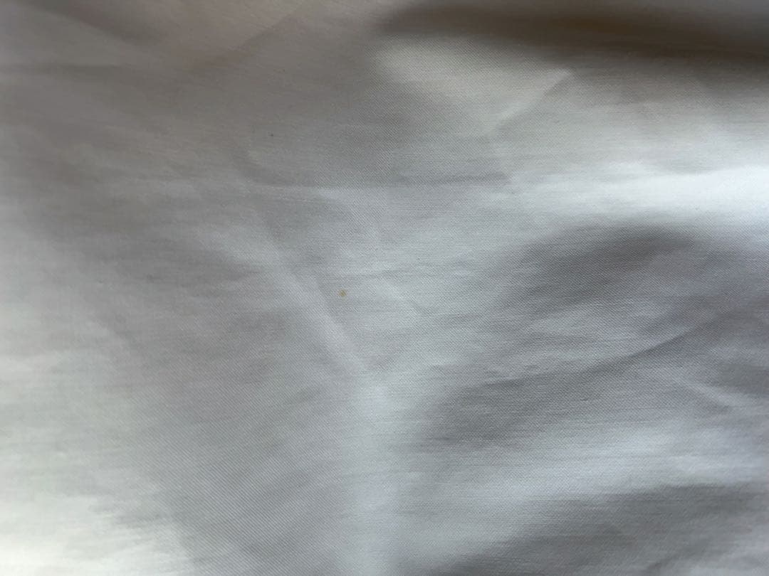 celine セリーヌ フィービーファイロ　ワイドパンツ