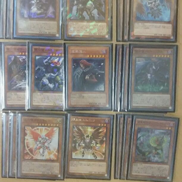 補食植物堕天使デッキ 高レアリティ