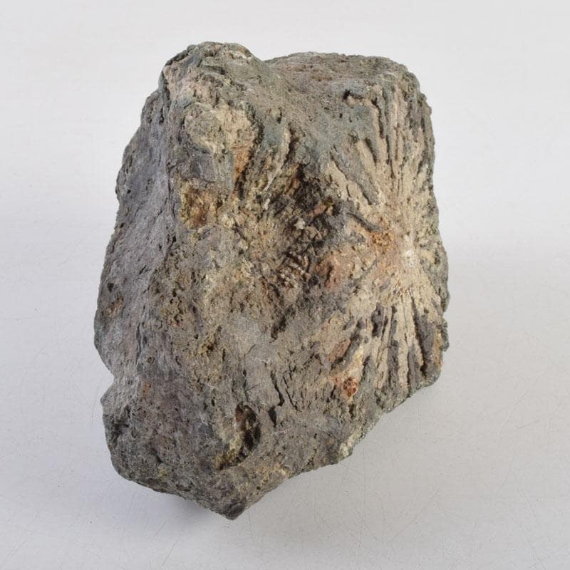 天然石　鑑賞石　菊花石　置物　重さ約1929g　C　8881