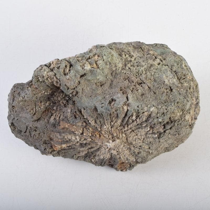 天然石　鑑賞石　菊花石　置物　重さ約1929g　C　8881