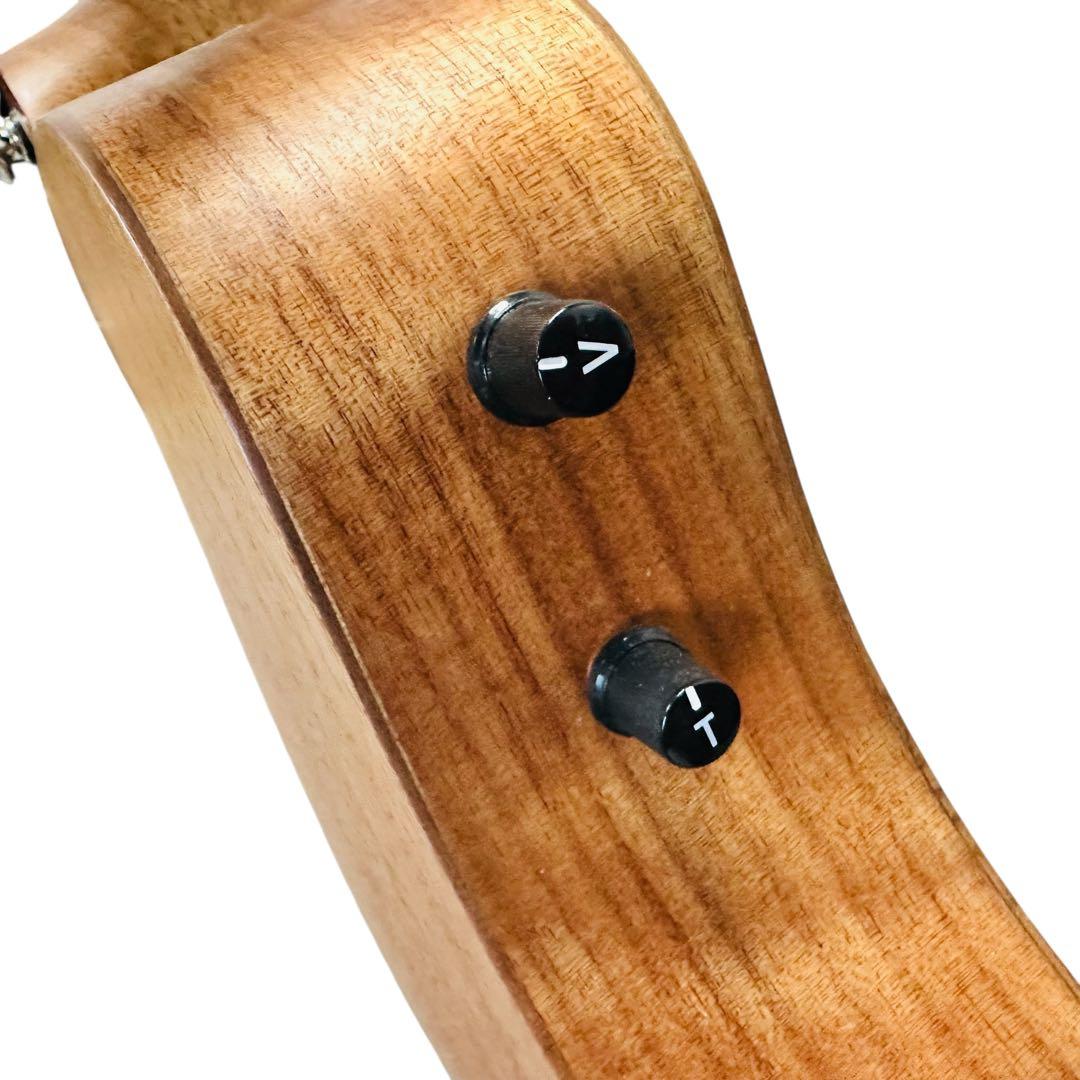 ヤイリ　アコースティックギター　YM-02E/MH