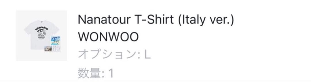 seventeen セブチ　ウォヌ　ナナツアー　tシャツ