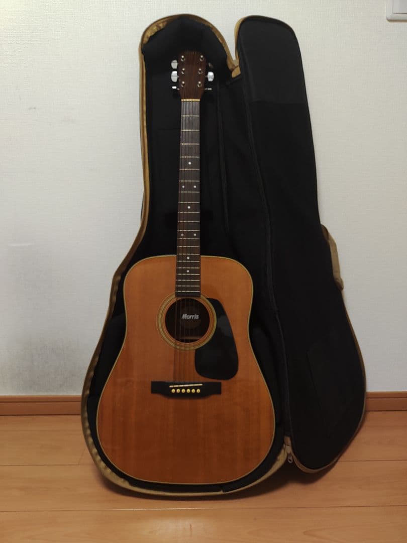 Morris MD502 アコースティックギター