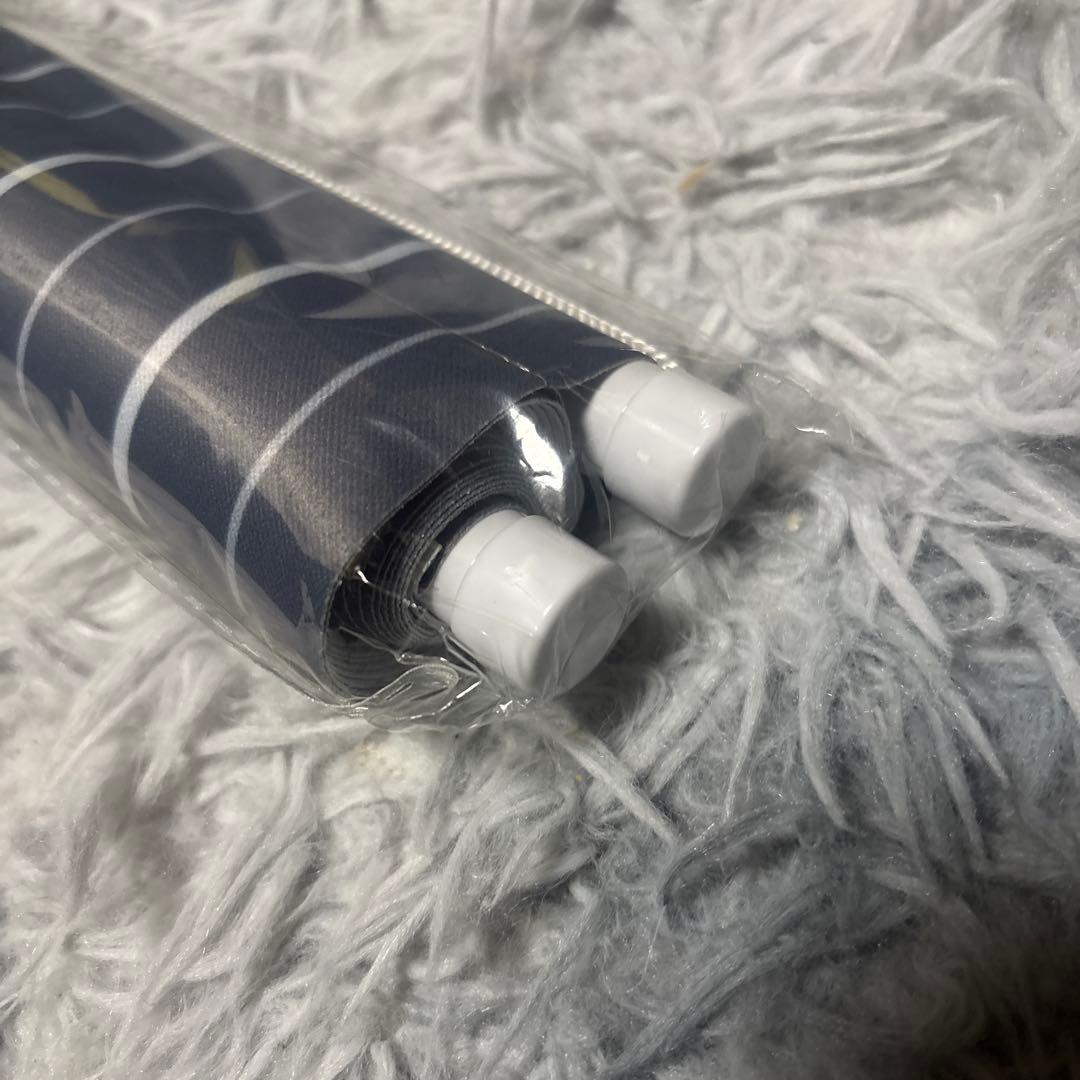 BLACK CAT トレイン 等身大タペストリー