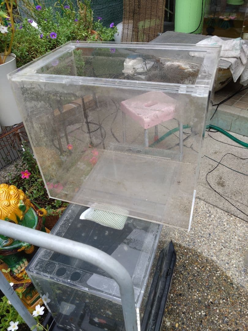 愛知県岩倉市お引き取り限定☆アクリル水槽2台☆