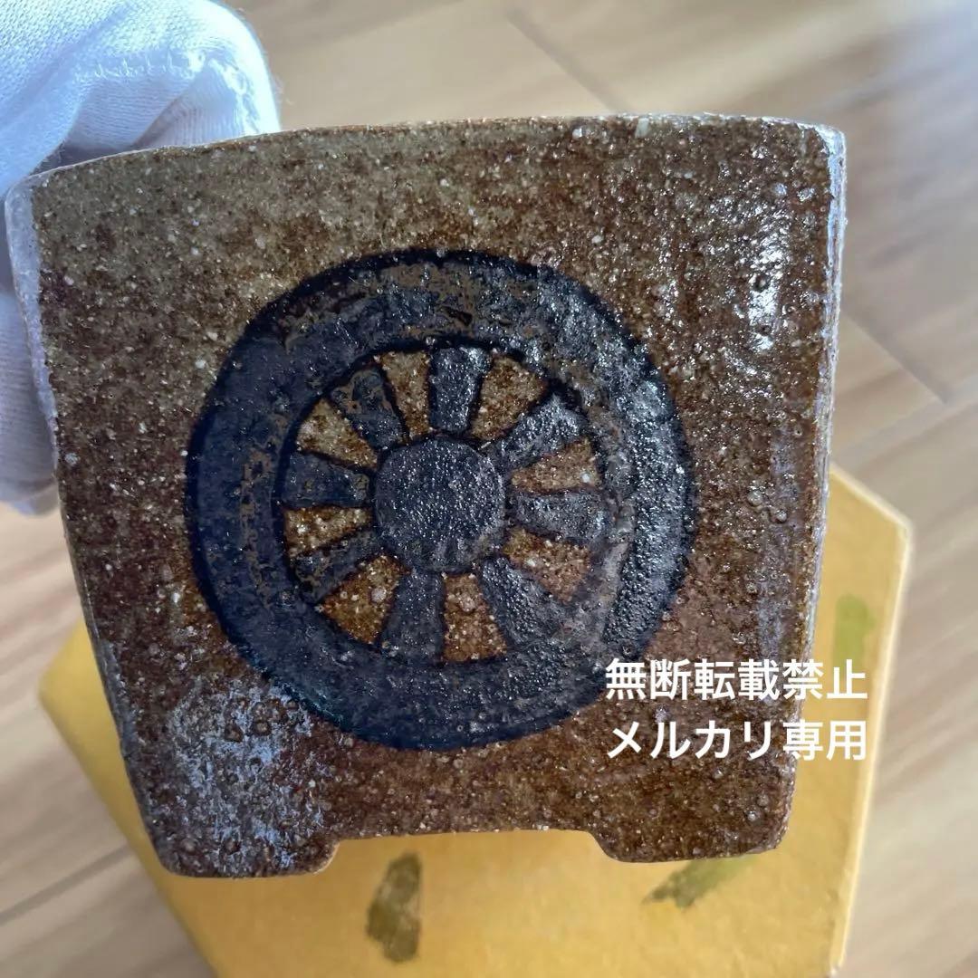 盆栽鉢　桑津香石　絵鉢　正方形　菖蒲　椿　小品盆栽