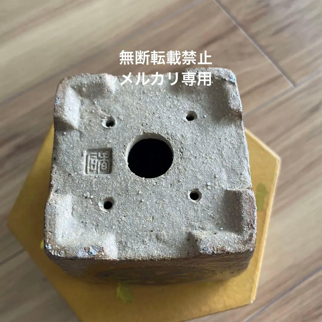 盆栽鉢　桑津香石　絵鉢　正方形　菖蒲　椿　小品盆栽