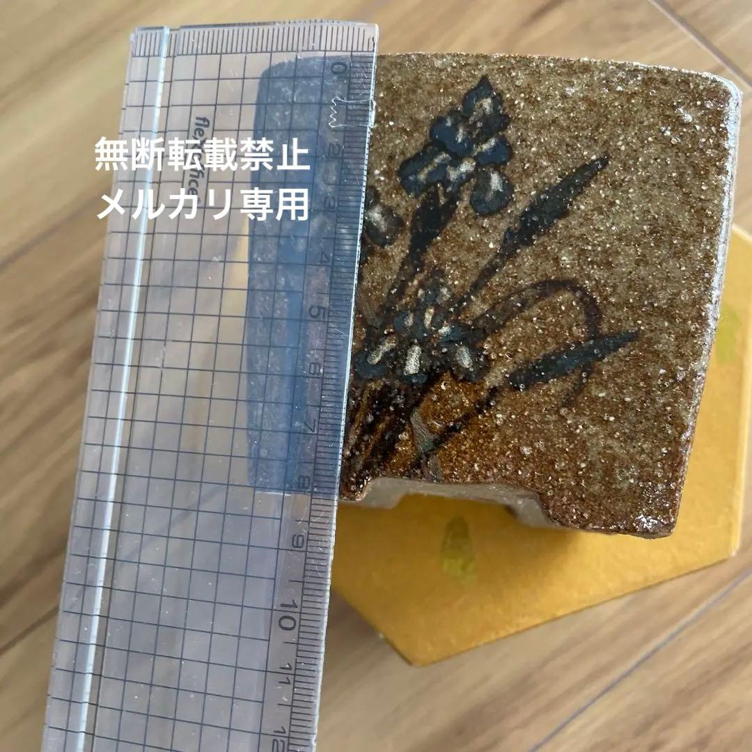 盆栽鉢　桑津香石　絵鉢　正方形　菖蒲　椿　小品盆栽