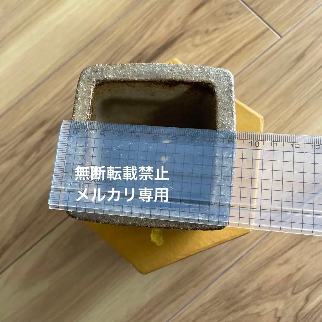 盆栽鉢　桑津香石　絵鉢　正方形　菖蒲　椿　小品盆栽