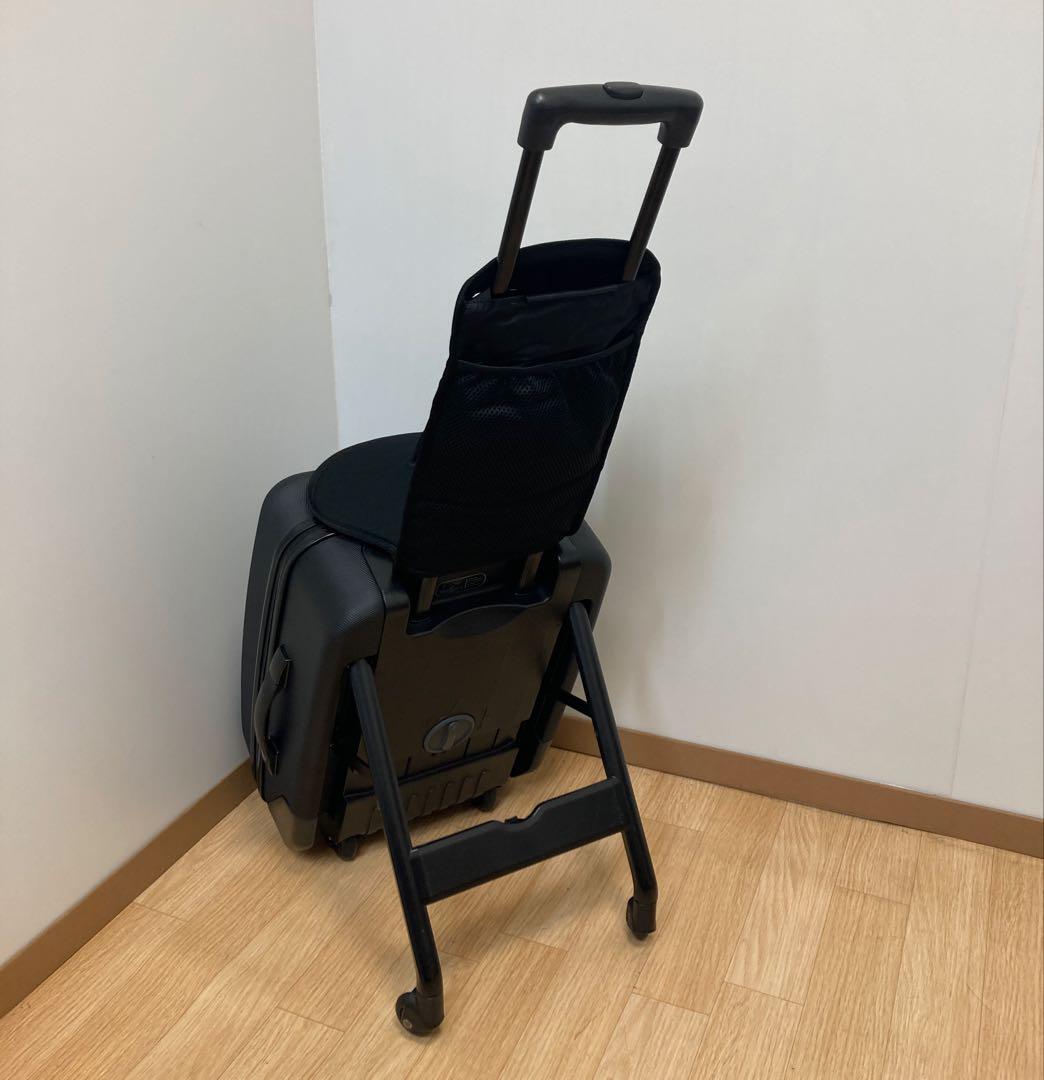 mountain buggy 子供が乗れるキャリーバッグ