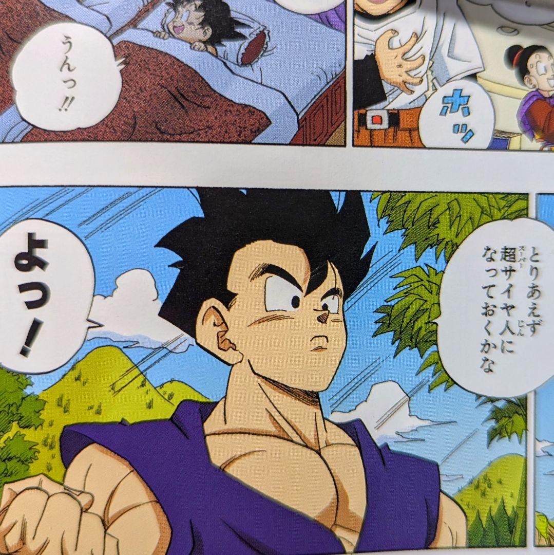 ドラゴンボール　フィギュア　リペイント　HGシリーズ 孫悟飯２体セット