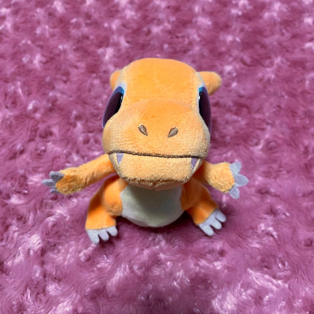 ピタッとリザードン pokemon time ぬいぐるみ