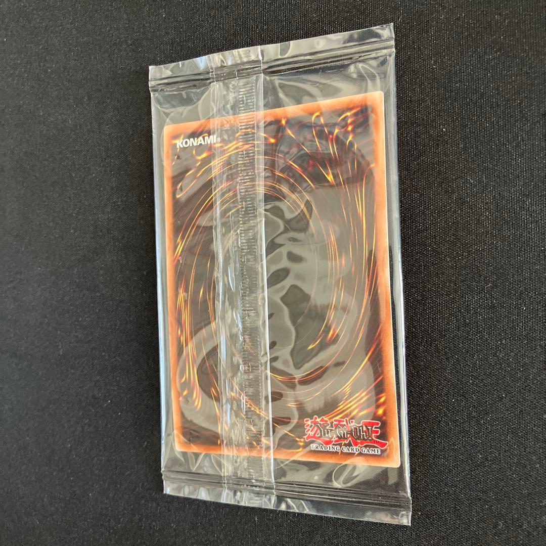 遊戯王カード Noritoshi in Darkest Rainment