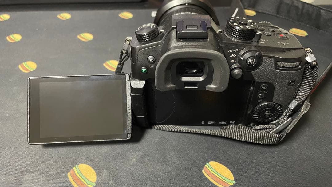 Panasonic LUMIX GH5 / レンズ / その他充電器など