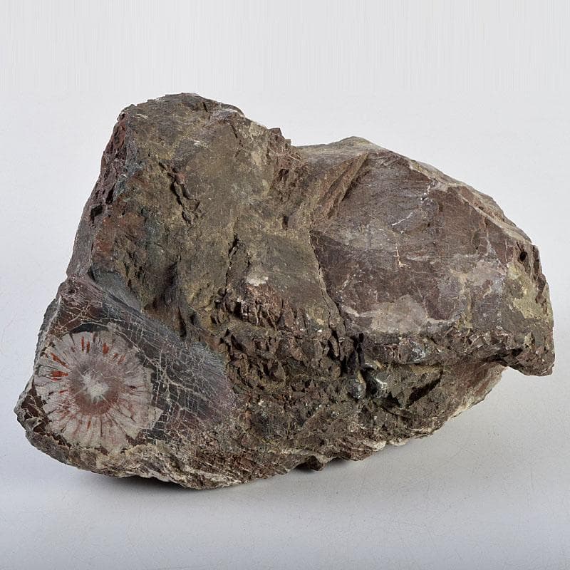 天然石　鑑賞石　菊花石　置物　重さ約3050g　N　8915