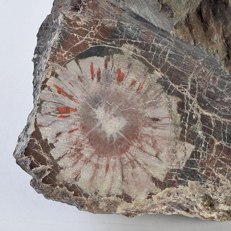 天然石　鑑賞石　菊花石　置物　重さ約3050g　N　8915