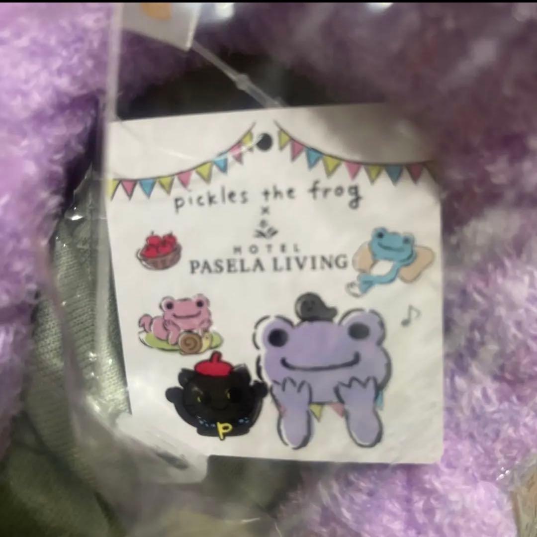 ナカジマ　かえるのピクルス ホテルパセラリビングx限定ビーンドール Tシャツ