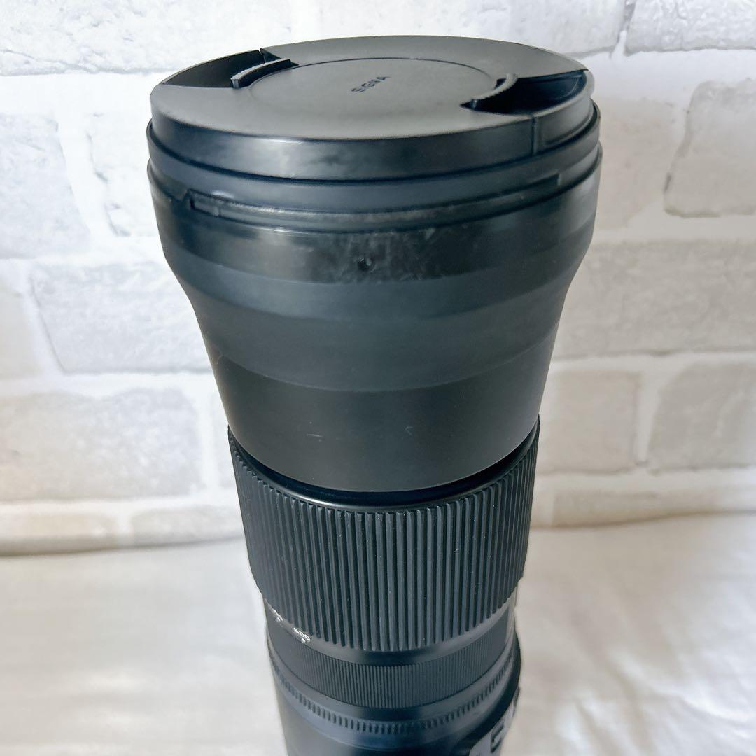 komrkko ✨SIGMA 150-600mm F5-6.3 DG✨