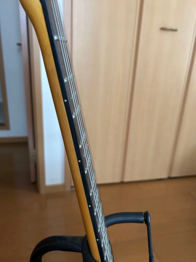 Schecter シェクター エレキギター