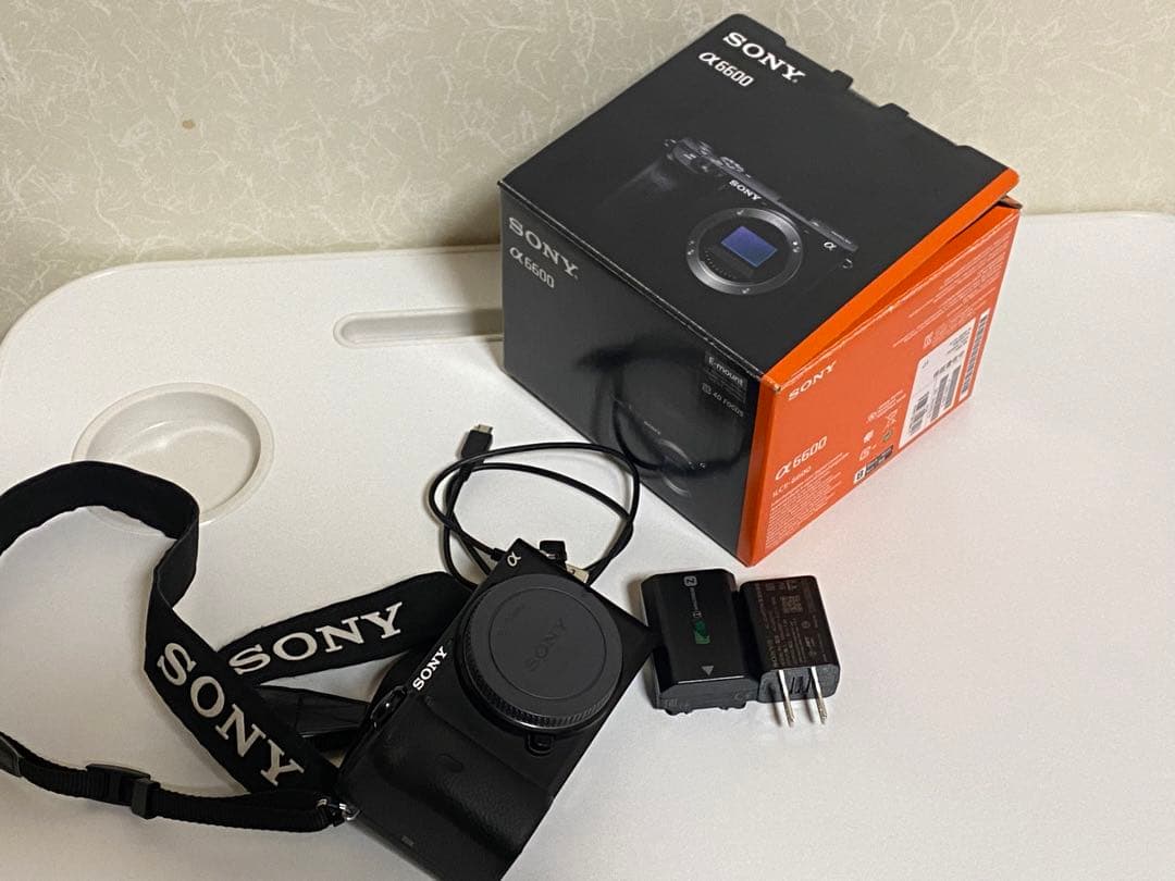 ビデオカメラ Sony a6600