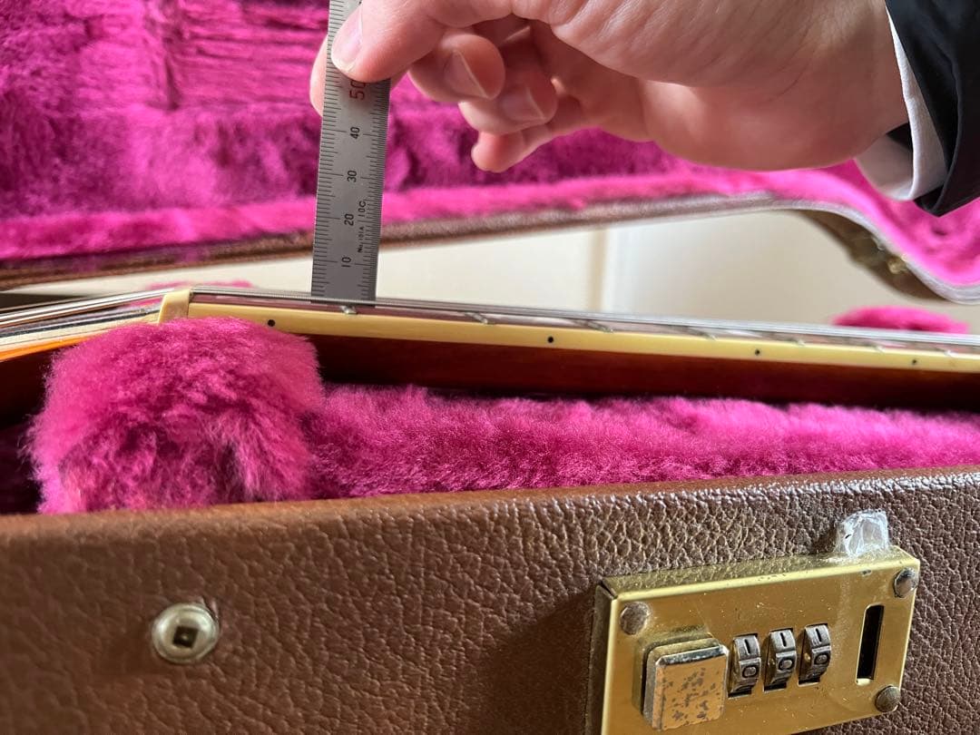 Aria Pro Ⅱ PE-Anniversary 限定モデル ハードケース付属