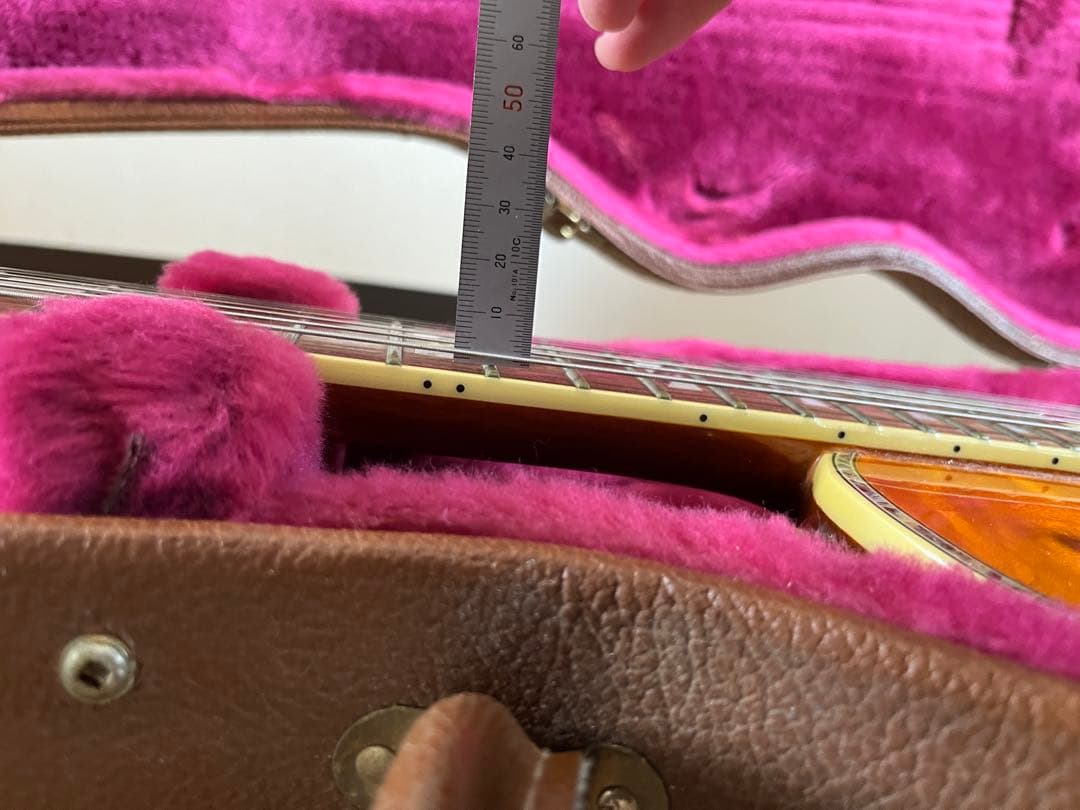 Aria Pro Ⅱ PE-Anniversary 限定モデル ハードケース付属