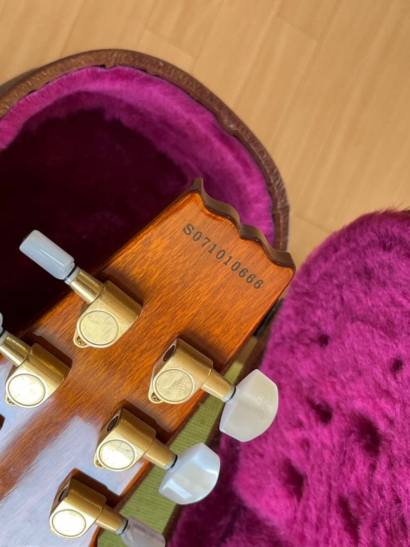 Aria Pro Ⅱ PE-Anniversary 限定モデル ハードケース付属