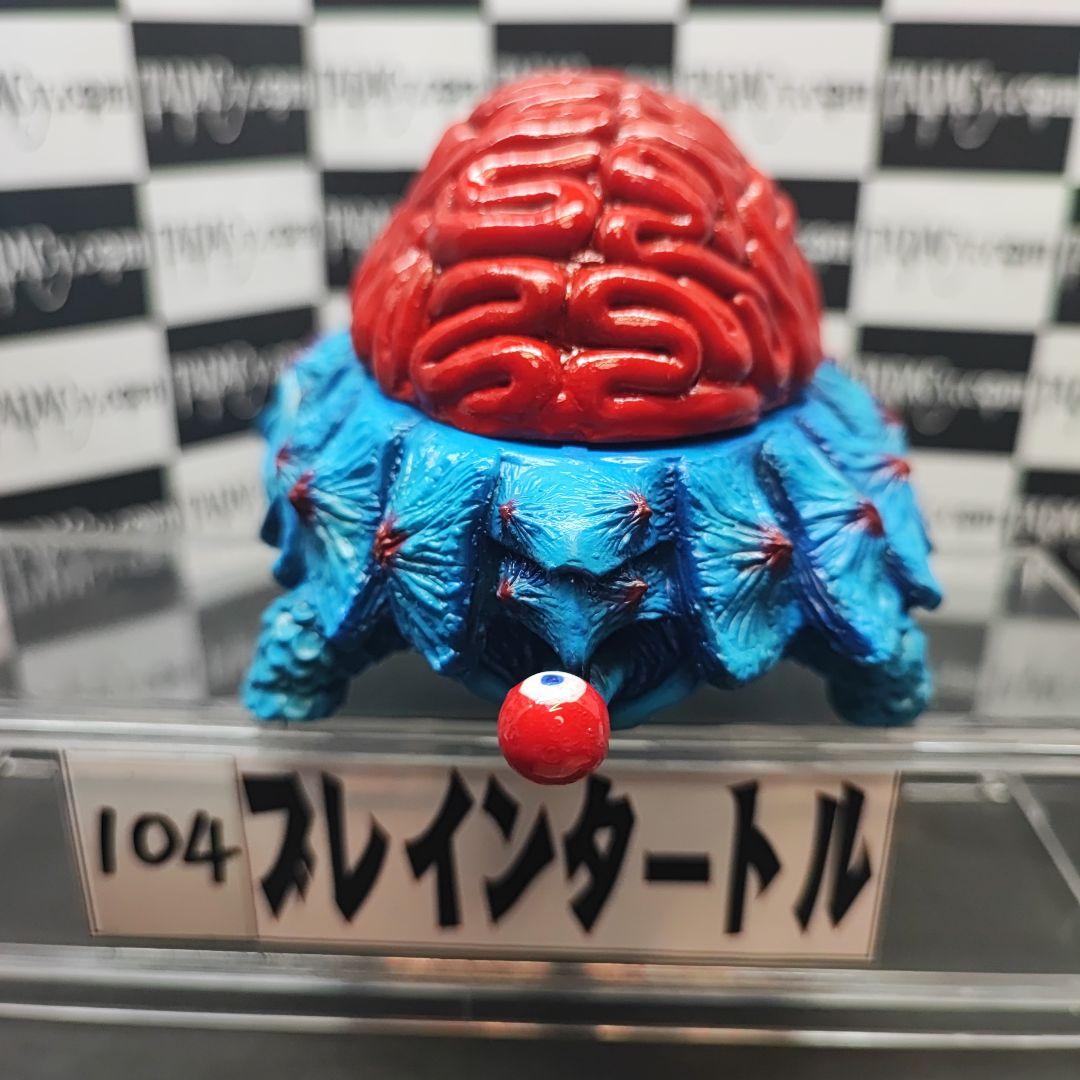 104ブレインタートル