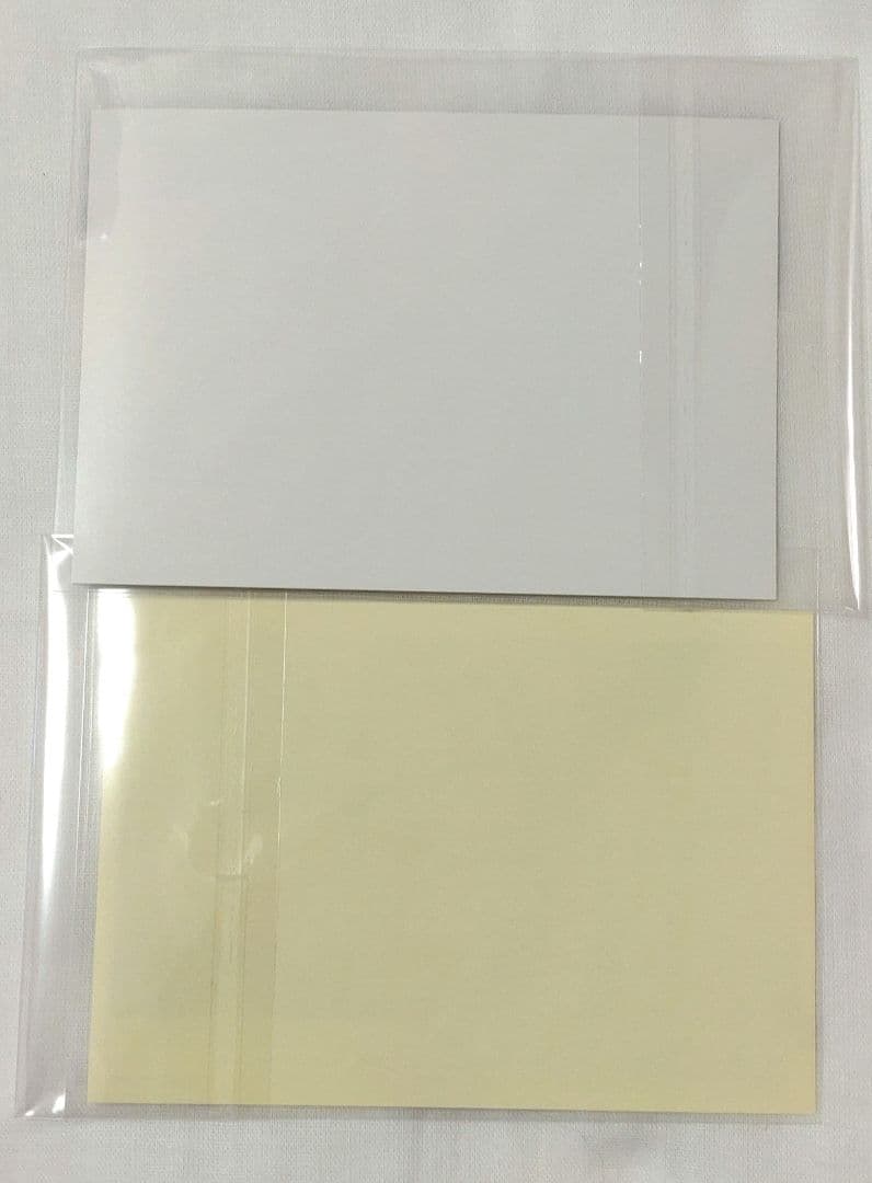 血界戦線　グッズ　レオ&ブラック